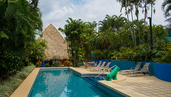 Warm heated pool with quaint thatch roof building